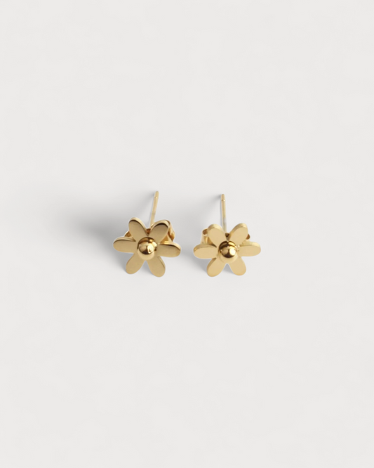 Pendientes Manantial