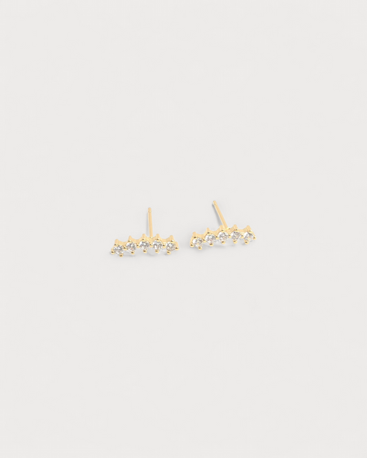 Pendientes Fronda Nativa