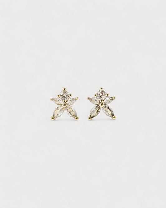 Pendientes Yesca Antigua