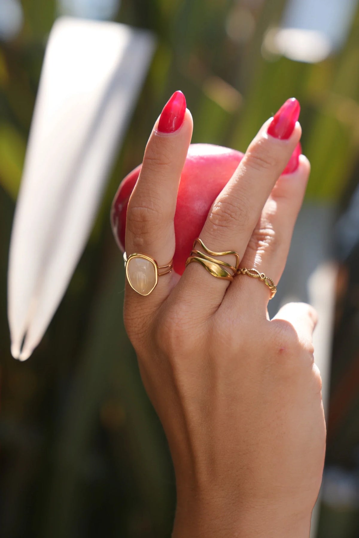 Anillo Horizonte Nativo