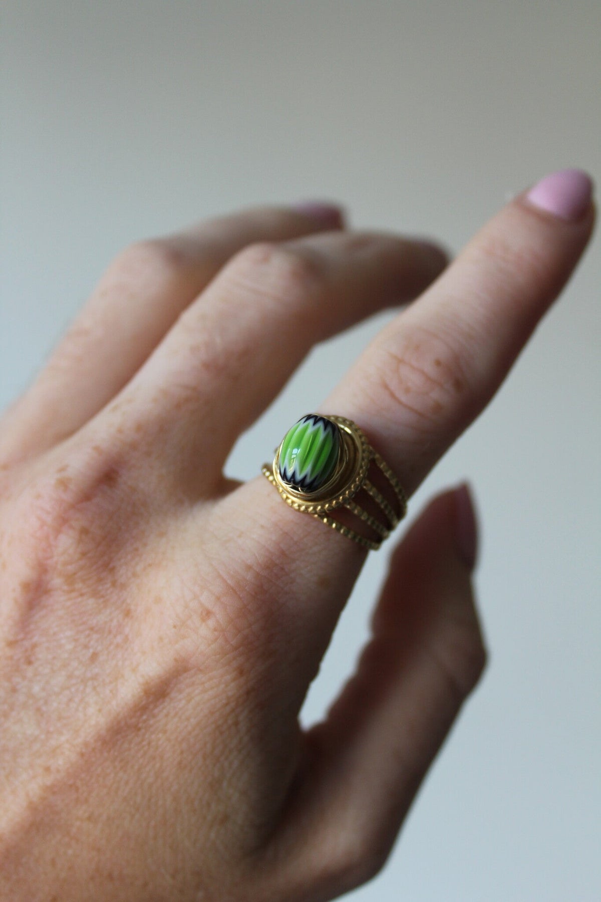Anillo Raíz de Tierra