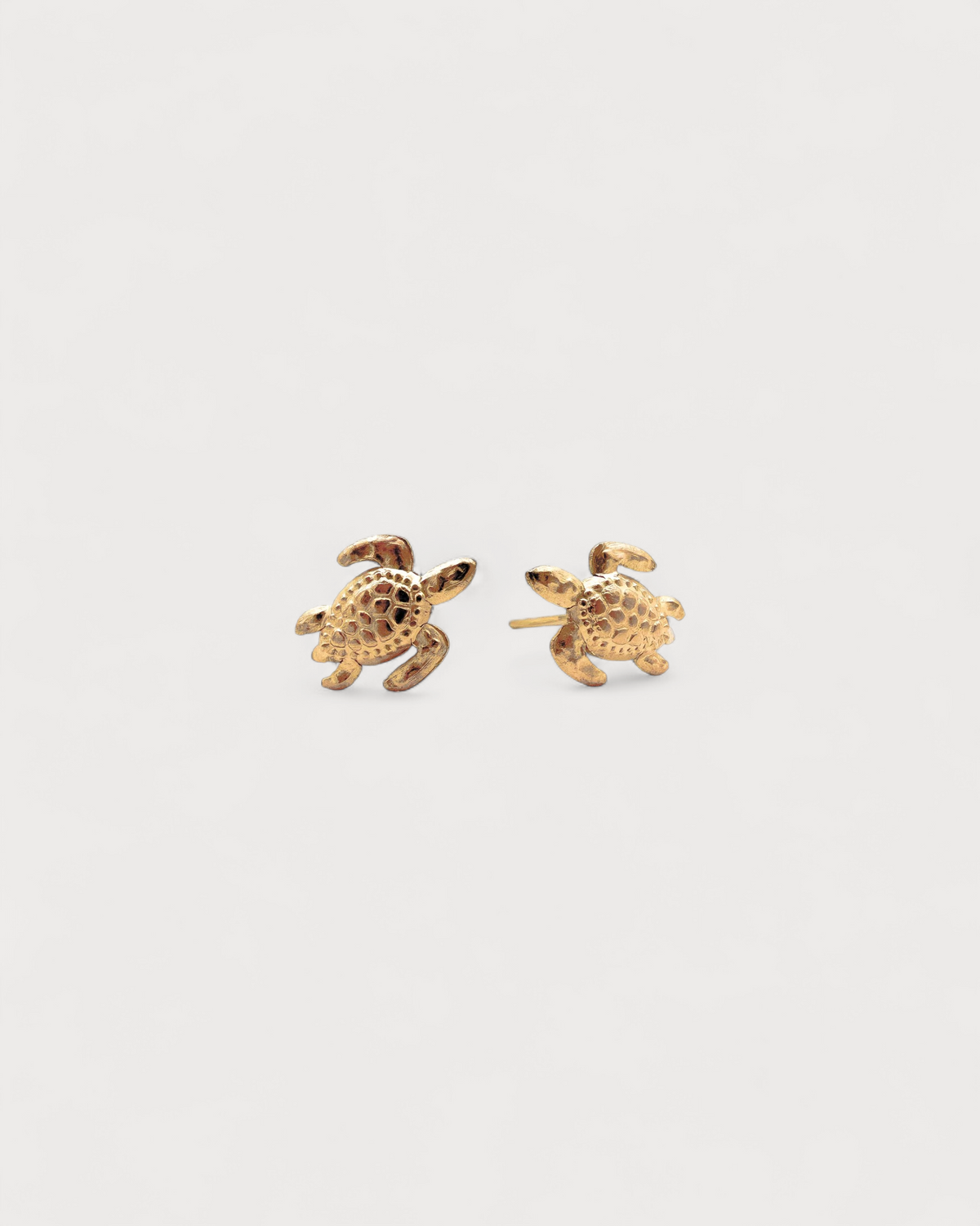 Pendientes Tierra