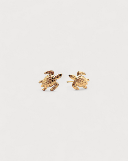 Pendientes Tierra
