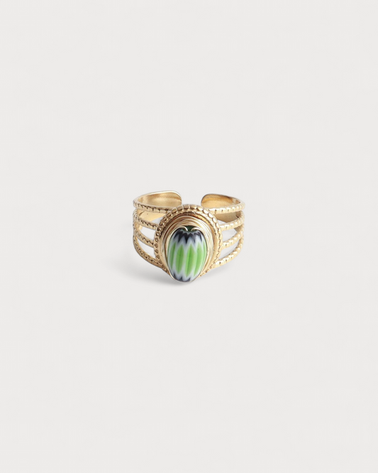 Anillo Raíz de Tierra
