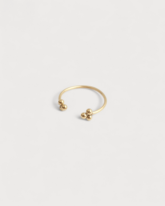 Anillo Arraigo Antiguo