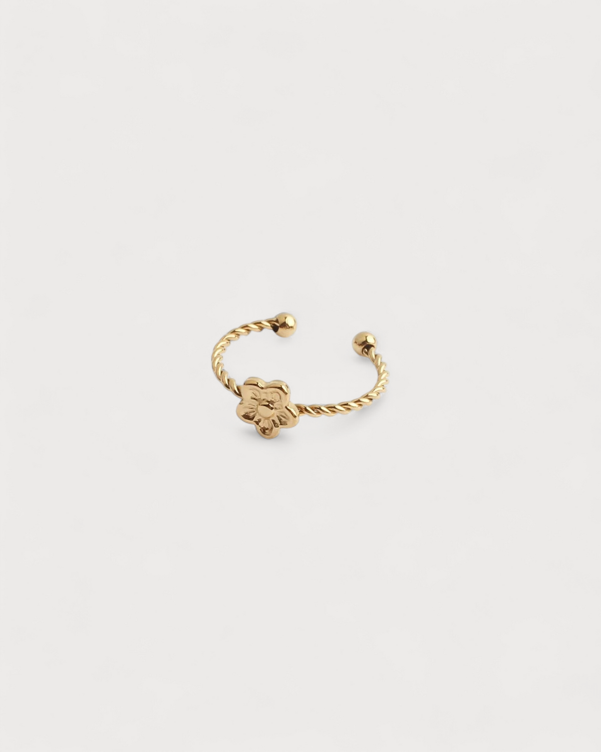 Anillo Bosque