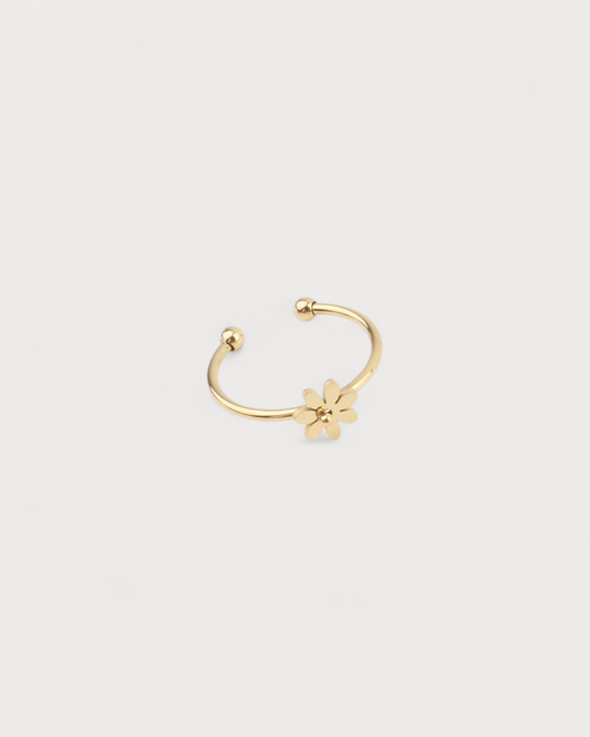 Anillo Vientre