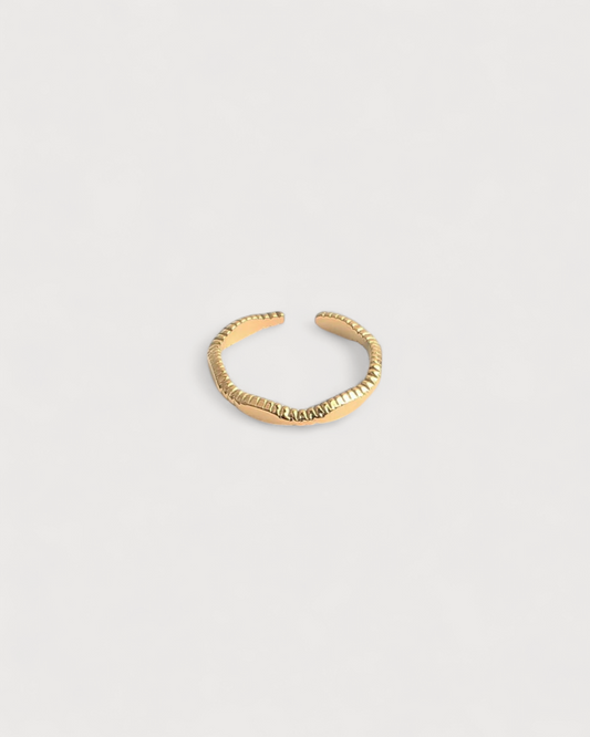 Anillo Latido de Cauce Claro