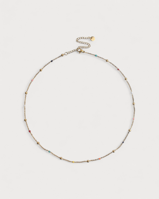 Collar Corteza del Sur