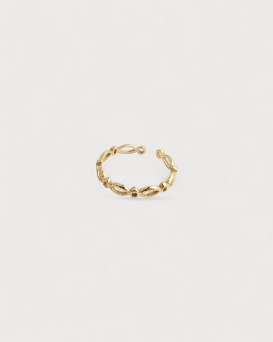 Anillo Horizonte Nativo