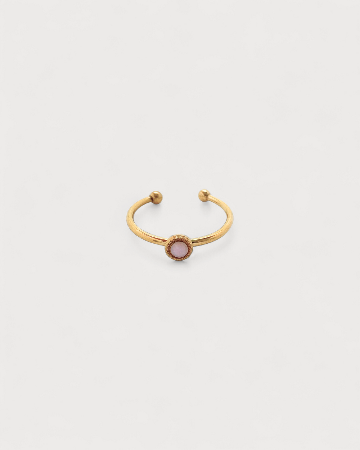 Anillo Tierra Salvaje