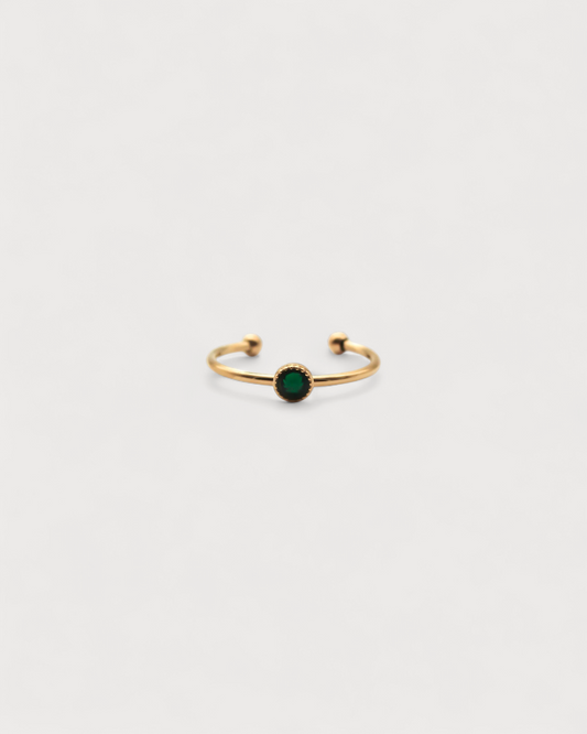 Anillo Tierra Salvaje