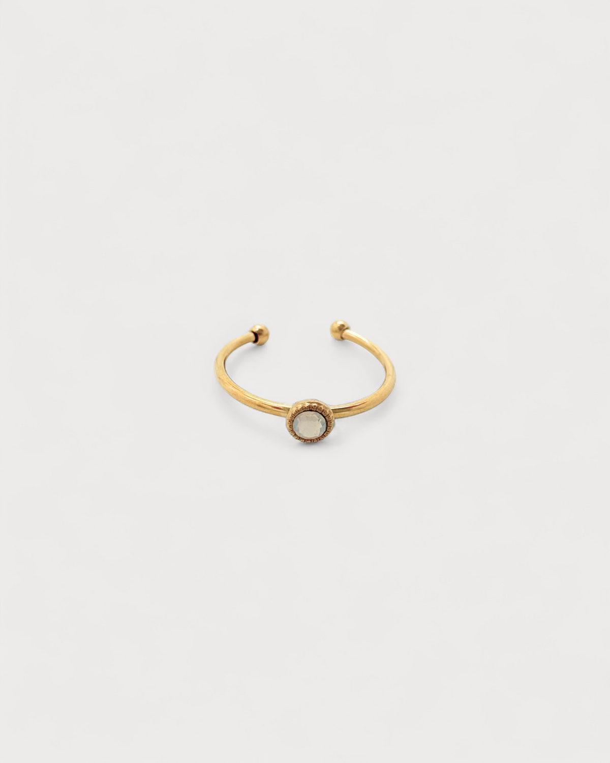 Anillo Tierra Salvaje