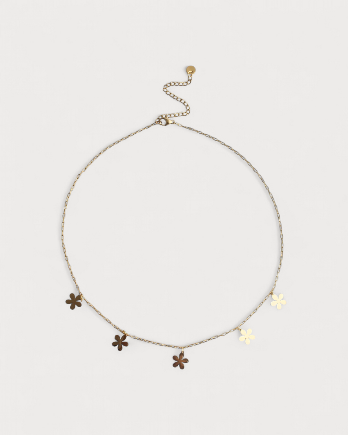 Collar Aljibe Salvaje