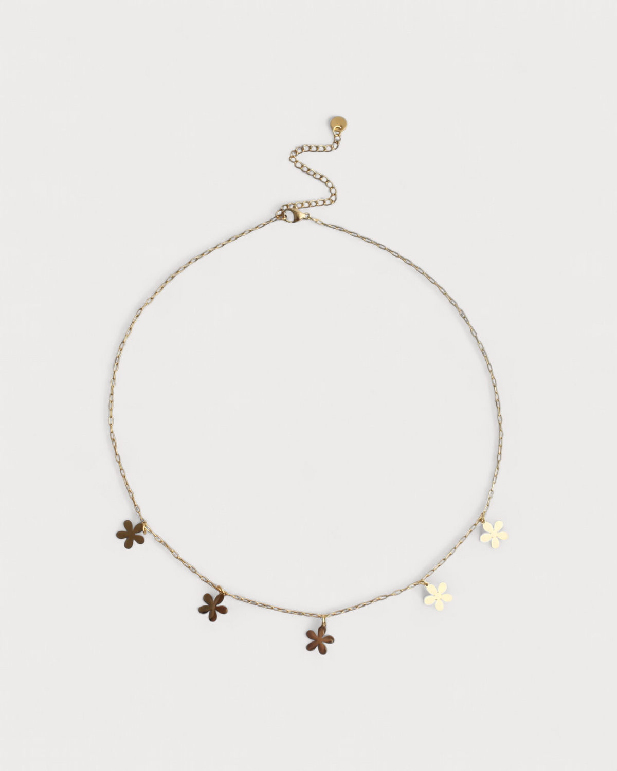 Collar Aljibe Salvaje