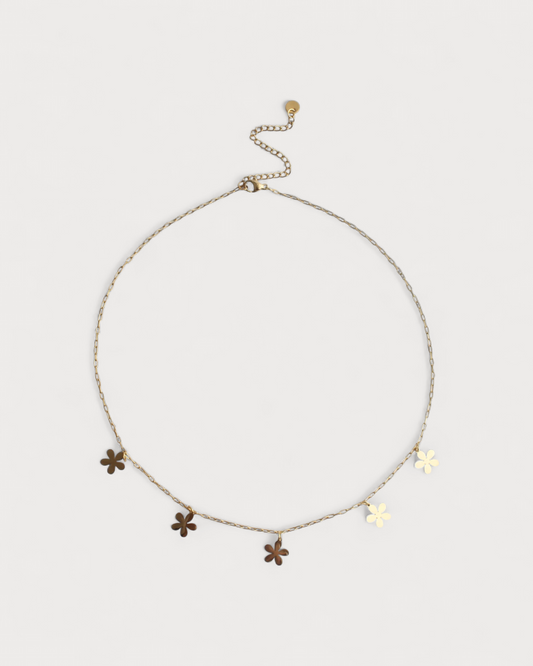 Collar Aljibe Salvaje