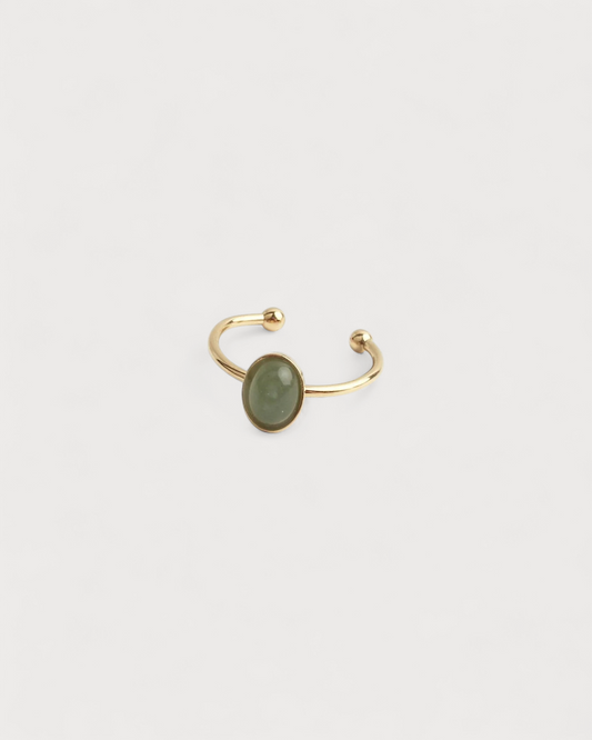 Anillo Anochecer del Cauce