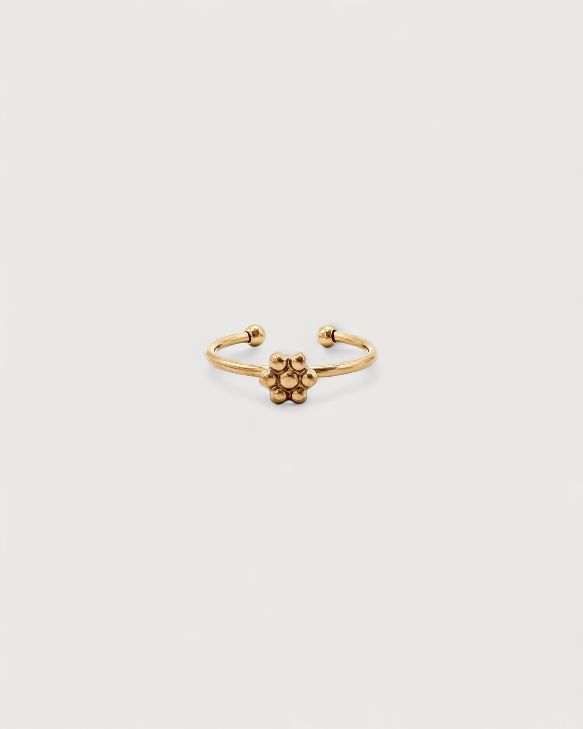 Anillo Corteza