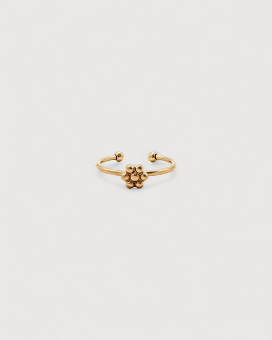 Anillo Corteza