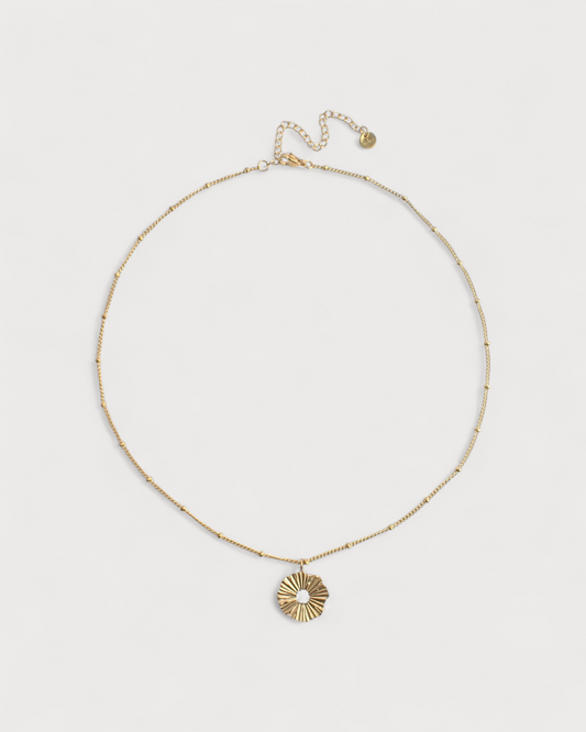 Collar Huella de Bruma