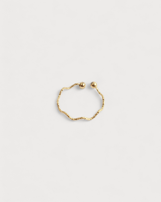 Anillo Primavera