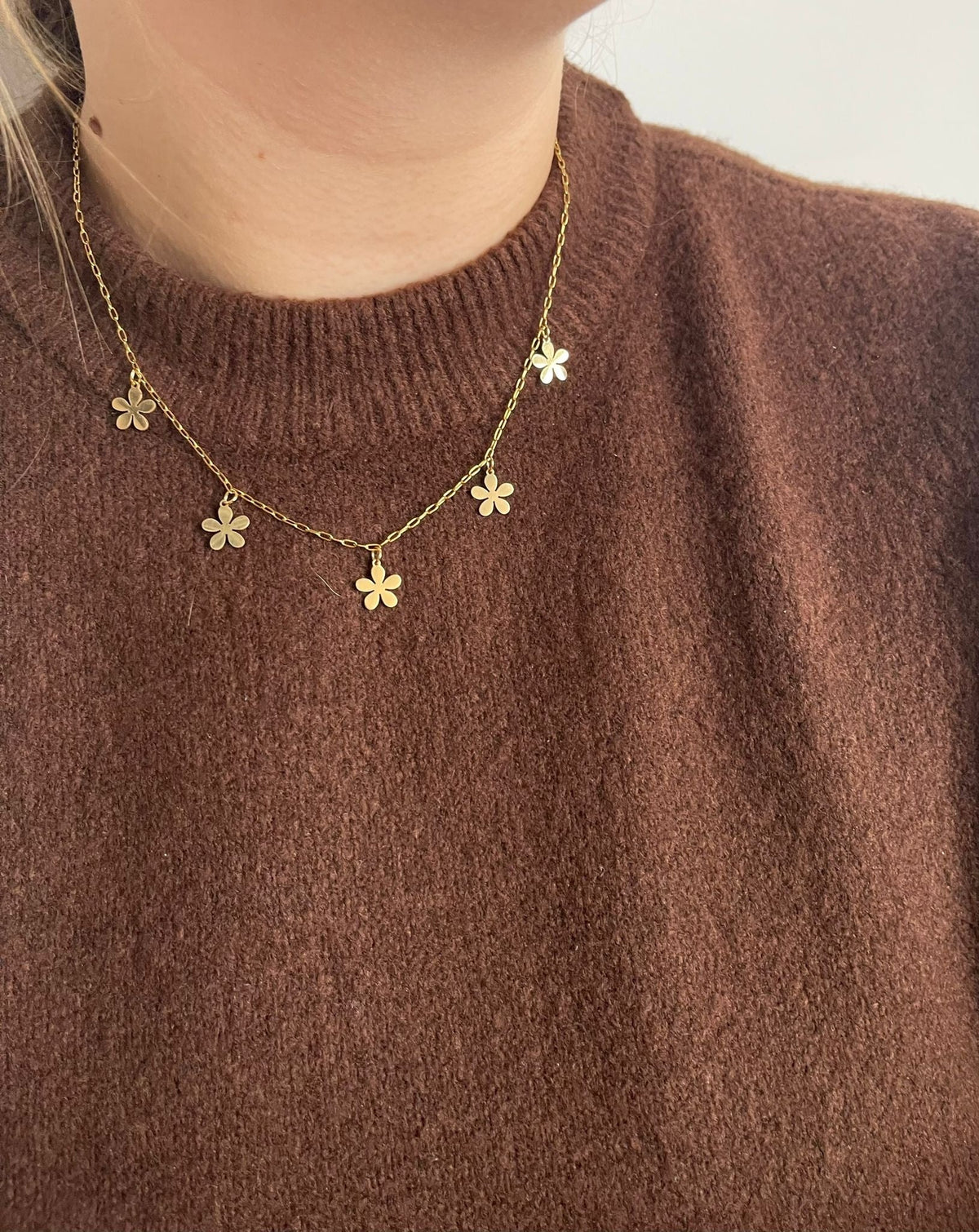 Collar Aljibe Salvaje